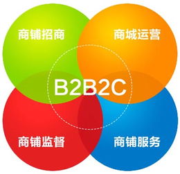 一起了解梦行B2B2C系统