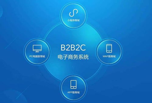 B2B2C多商户商城系统,有什么优缺点呢