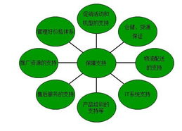 格兰仕案例 传统企业涉足电商四要点