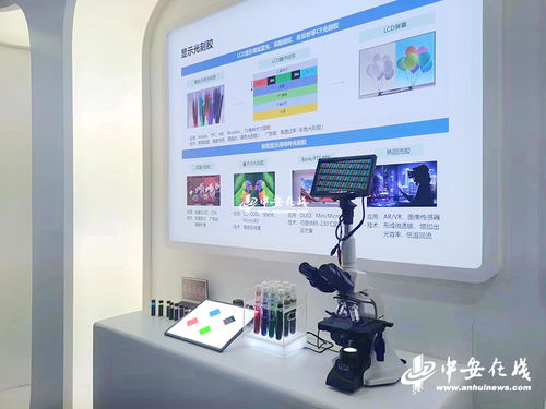 阜阳 一心一意谋发展 开足马力谱新篇