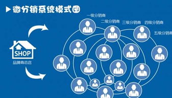 新店上线15天销售单量破10000 ,她是如何做的