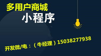 专业多用户商城小程序开发与单店商城系统解析